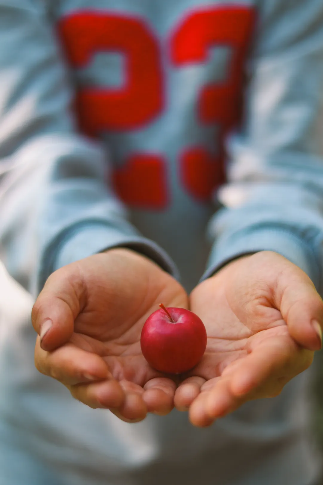 Zwei Kinderhände halten einen kleinen roten Apfel.